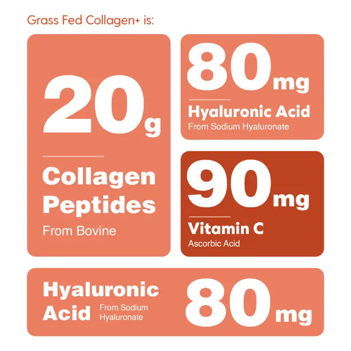 Collagen+ with Hydrolyzed Collagen Powder - Biotin - Hyaluronic Acid & Vitamin C (Case OF 6)